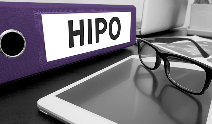 hi-po.jpg
